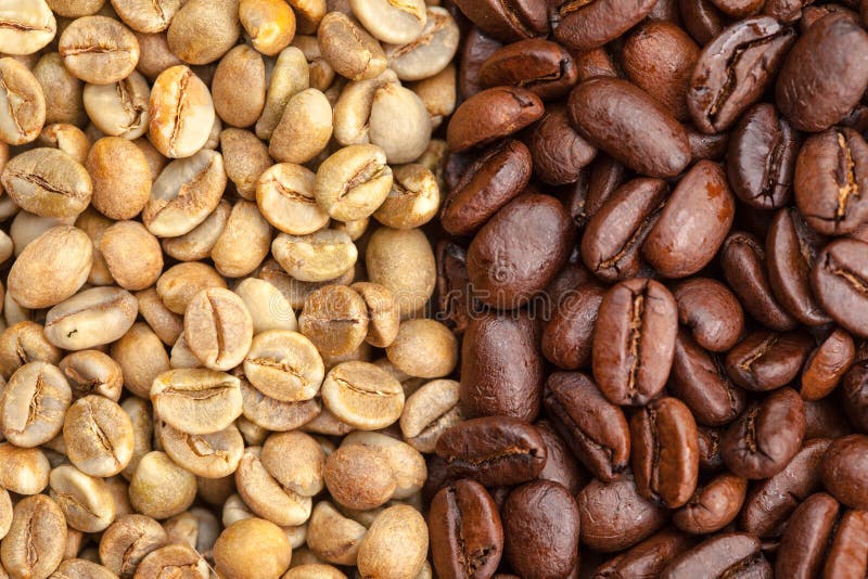 Green and Roasted Coffee Beans Stock Photo Image of fresh, gourmet
