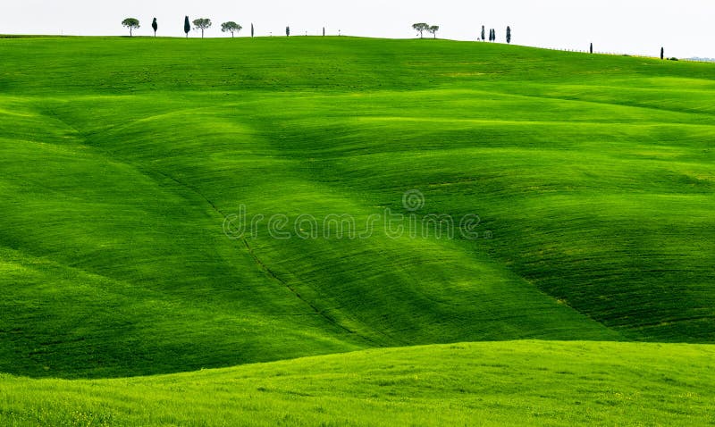 Green Rolling hills Spring In Tuscany Italy stock image Green Rolling hills Spring In Tuscany Italy stock image