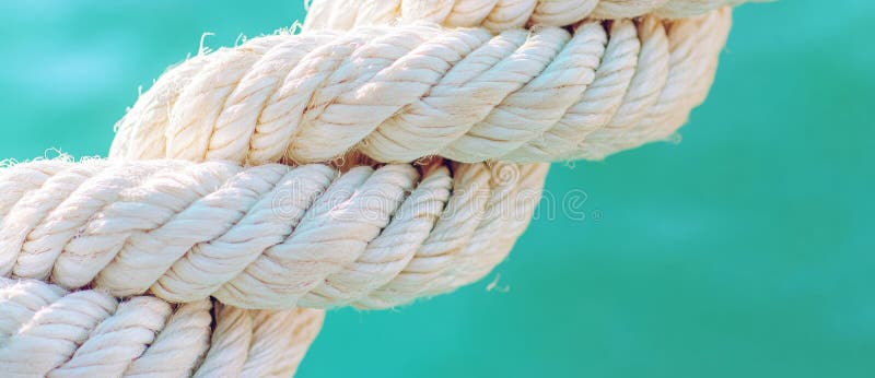 A green rope with a textured surface on a pastel background, featuring abundant copy space for branding or design royalty free stock images