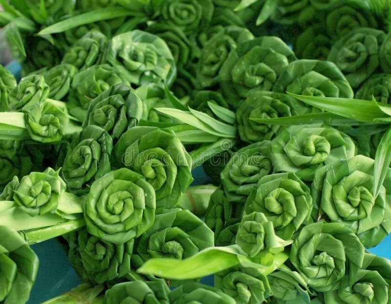 Green roses made from leaves royalty free stock images Green roses made from leaves royalty free stock images
