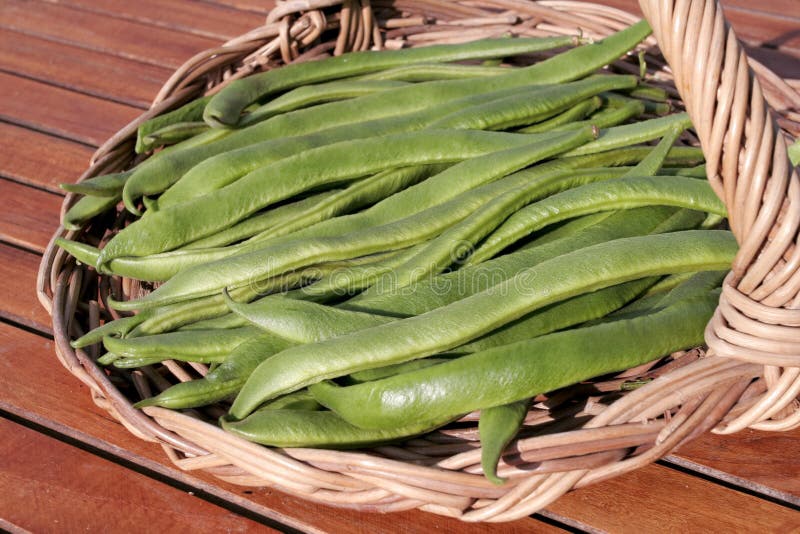 Green runner beans stock photo. Image of vegetarian, organic 17139248