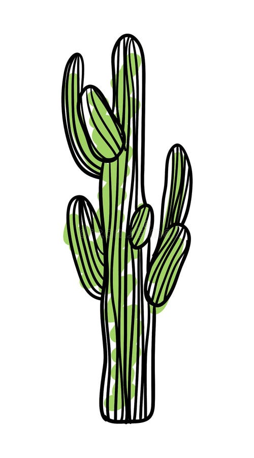 Green saguaro cactus hand drawn icon