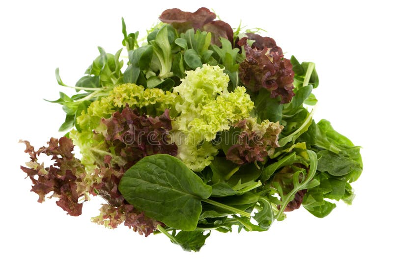 Green Salad