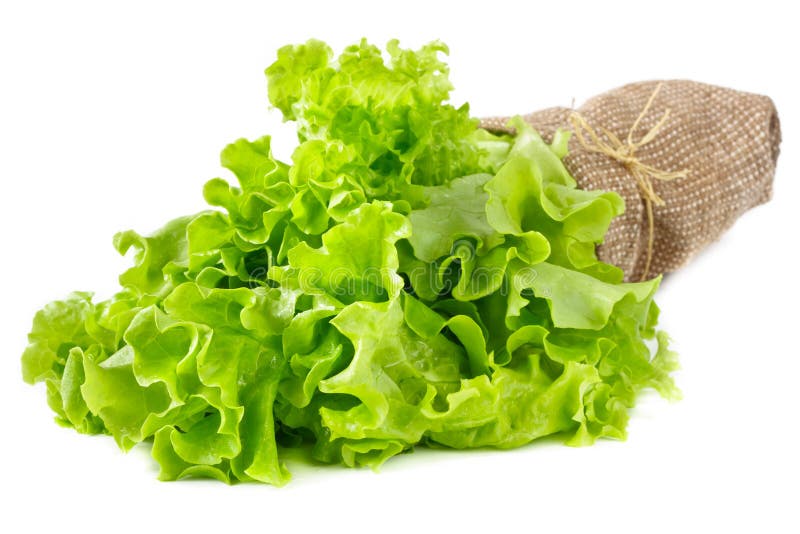 Green salad leaves. stock image. Image of background - 18991957