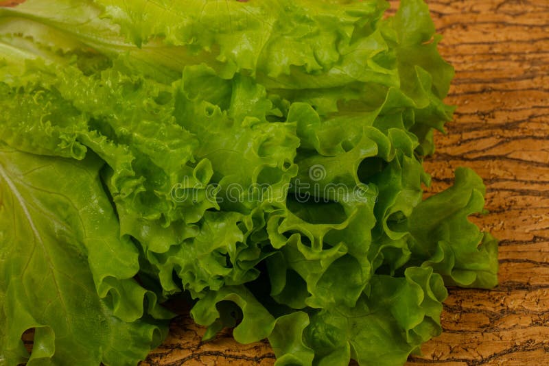 Green salad leaves stock photo. Image of closeup, bright - 142878574