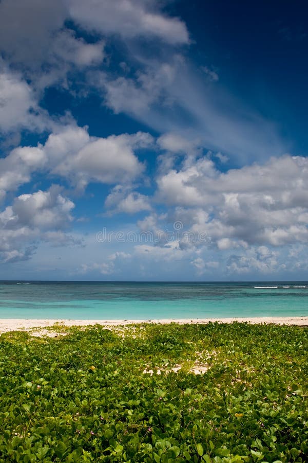 Green Sand Beach Near Blue Ocean Stock Photo Image of sand, color