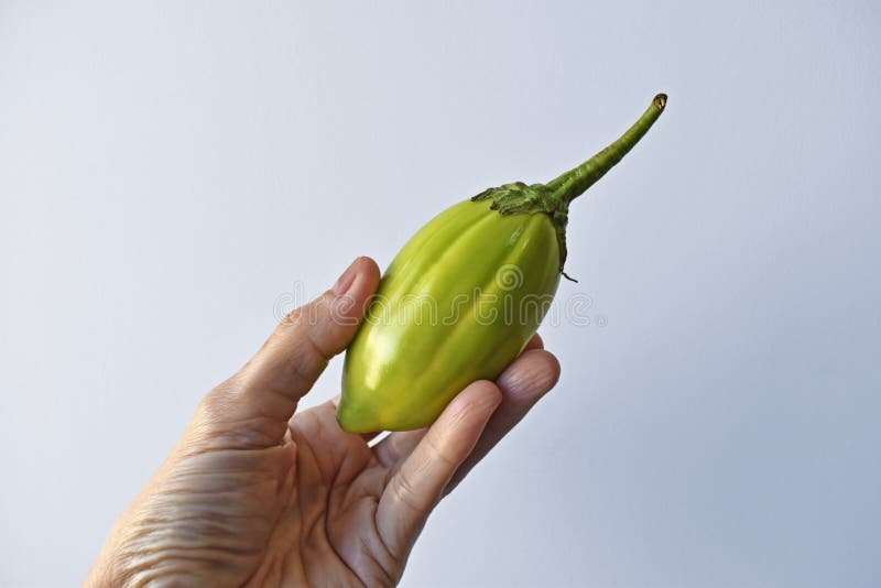 Lot of lot of vibrant green scarlet eggplant vegetable on top of each other  against a black background. Graphic minimalist image of food. Stock Photo