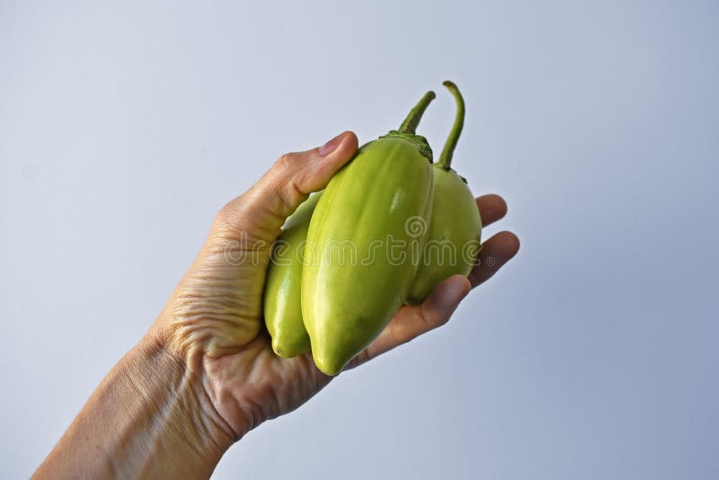 Chinese scarlet eggplant hi-res stock photography and images - Alamy