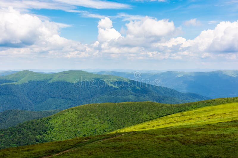 Green scenery in dappled light. grassy meadows of carpathian mountain landscape on a sunny day. sky with clouds above horizon