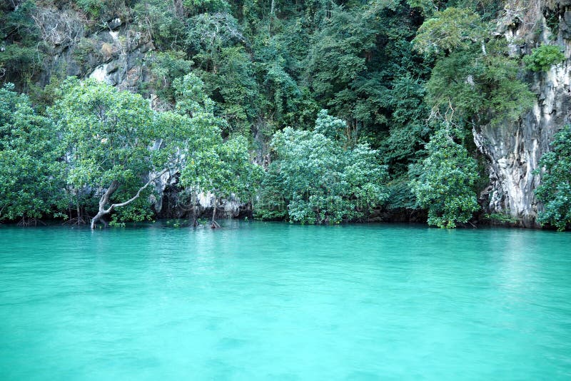 Green sea stock photo. Image of green, blue, wave, abstract 70706500