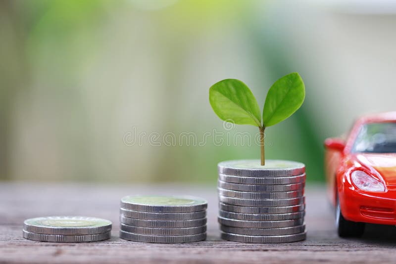 Green Seedlings tree grow on coin money of graph business and re