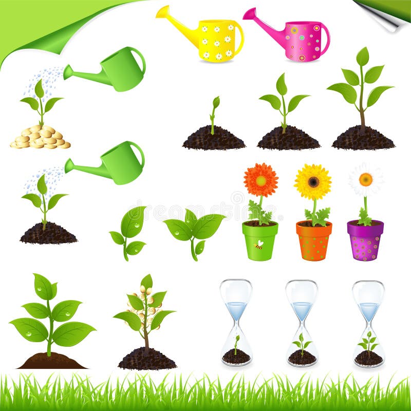 Green plant stock vector. Illustration of computer, design - 9754816