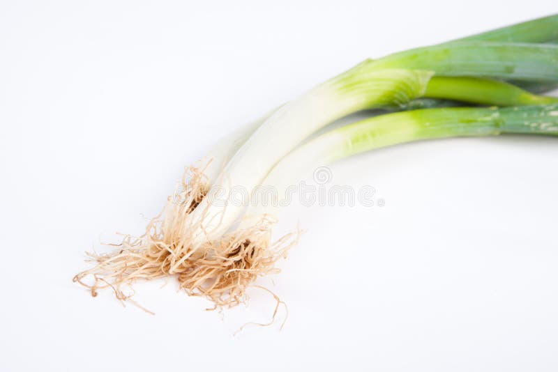 Green Shallot stock image. Image of organic, ingredient 20712649