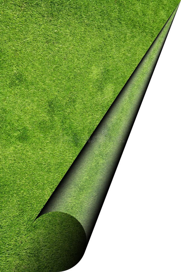 2,600+ Green sheet Free Stock Photos StockFreeImages