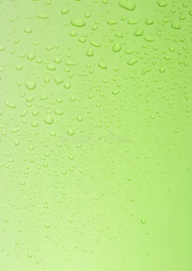 Green sheet with water drops royalty free stock photo