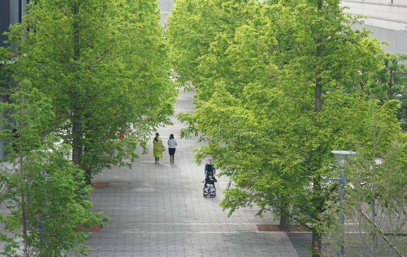 Green sidewalks editorial stock image. Image of sunny 222947619