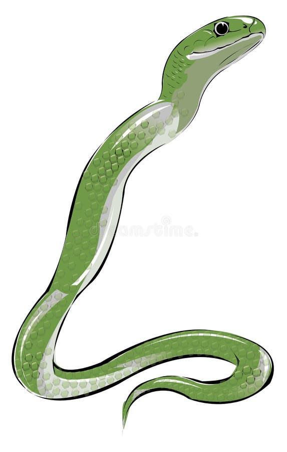 Green snake