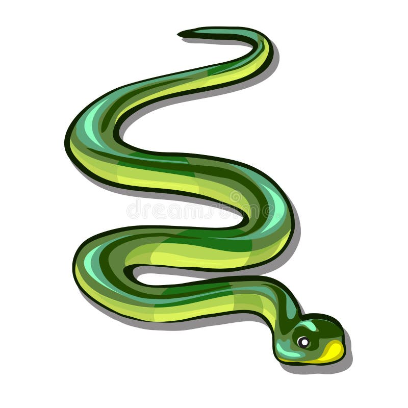 Green Mamba Stock Illustrations – 241 Green Mamba Stock Illustrations