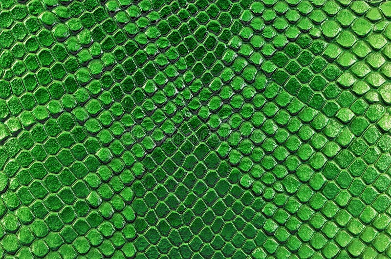 Seamless Texture With A Reptile Skin Snake Skin Stock Illustration ...