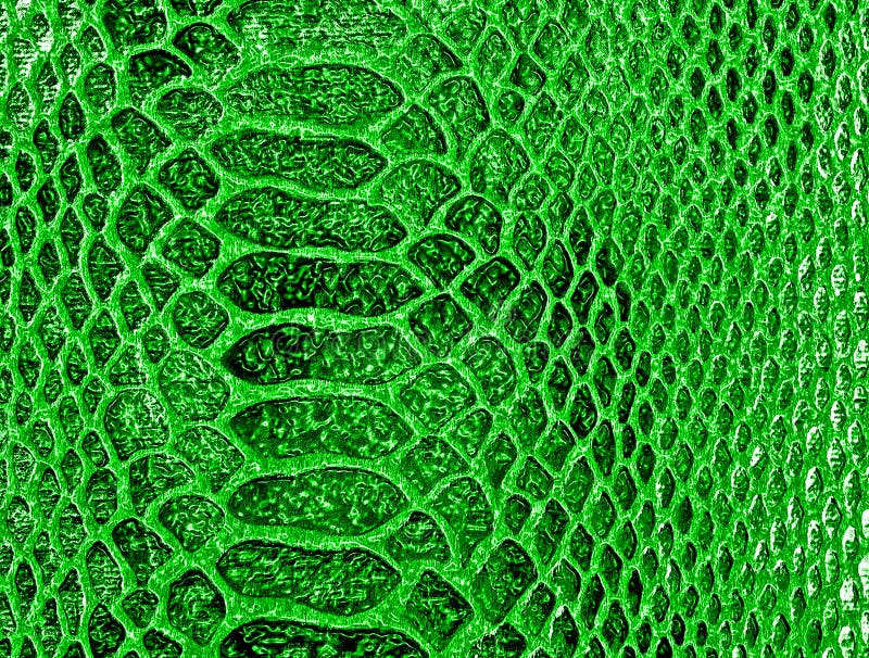 Green Snake Skin Texture