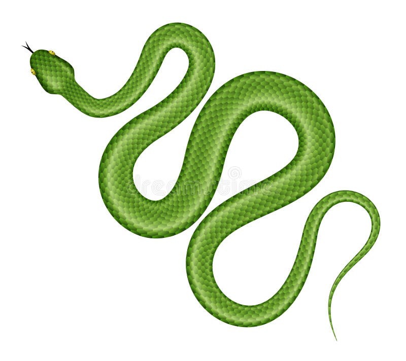 Green snake vector illustration.