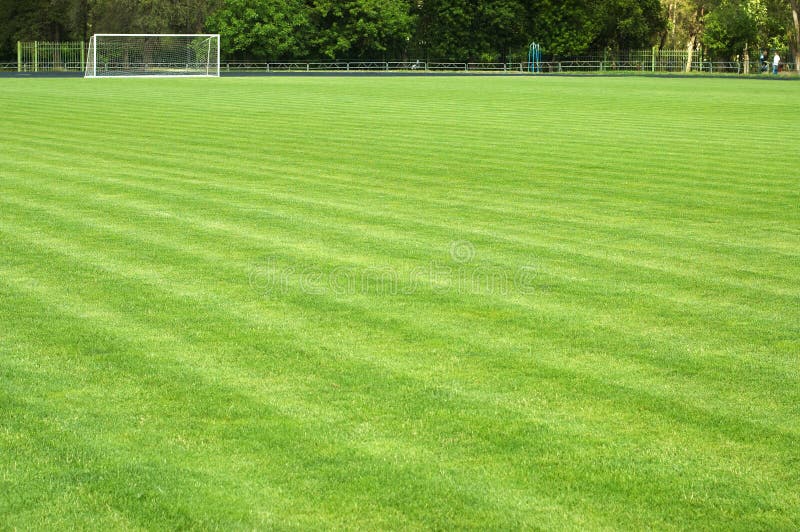 Green Soccer Field and Goal Stock Image Image of stadium, field 9895219