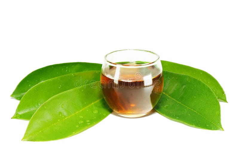 how to make tea from guyabano leaves