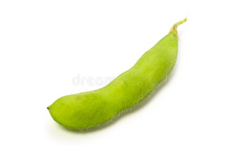 Green soy bean stock image. Image of health, cereal, healthy 25179639