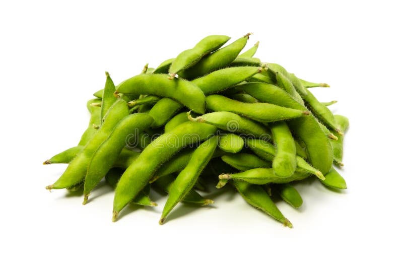 Green soy bean stock photo. Image of staple, meal, diet 25179640