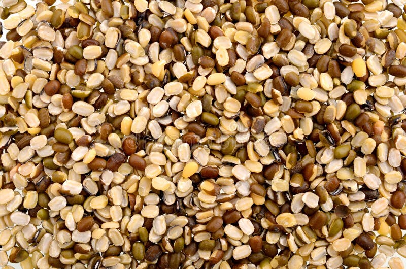 Green soy beans stock image. Image of green, freshness 30363545