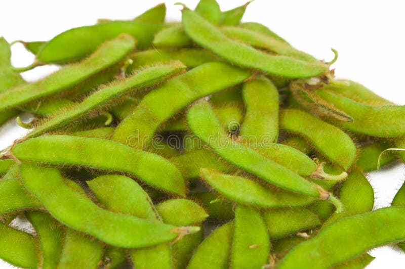 Green soybeans isolated stock image. Image of green, healthy 27854079