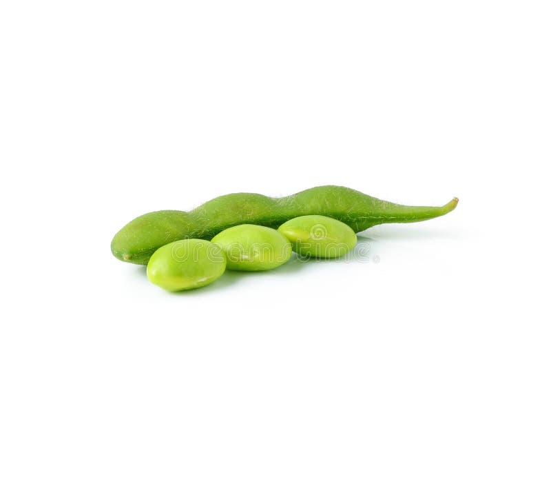 Green soybeans stock image. Image of nibblies, japanese 41496483