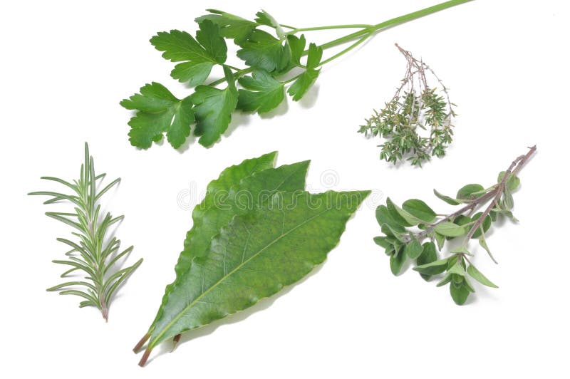 Green spices stock photo. Image of leaves, spicy, cuisine 15993684