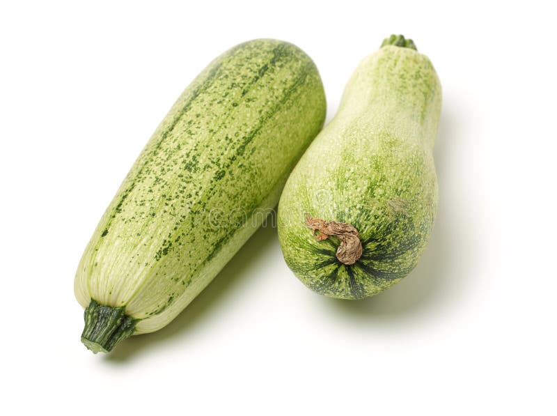 Green squash zucchini stock image. Image of gourmet 137075479