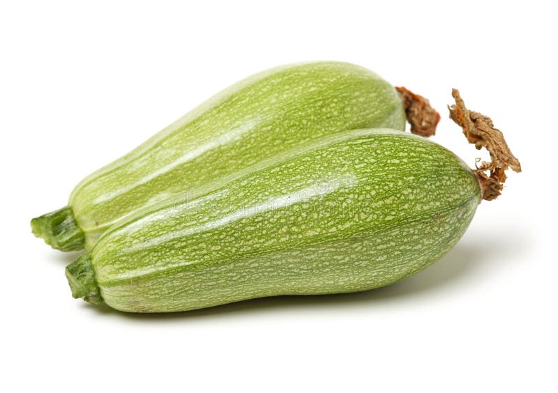 Green squash zucchini stock image. Image of calories 119612227