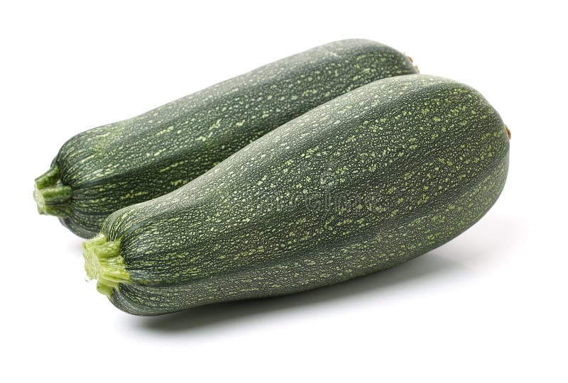 Green squash zucchini stock image. Image of gourmet 133675579