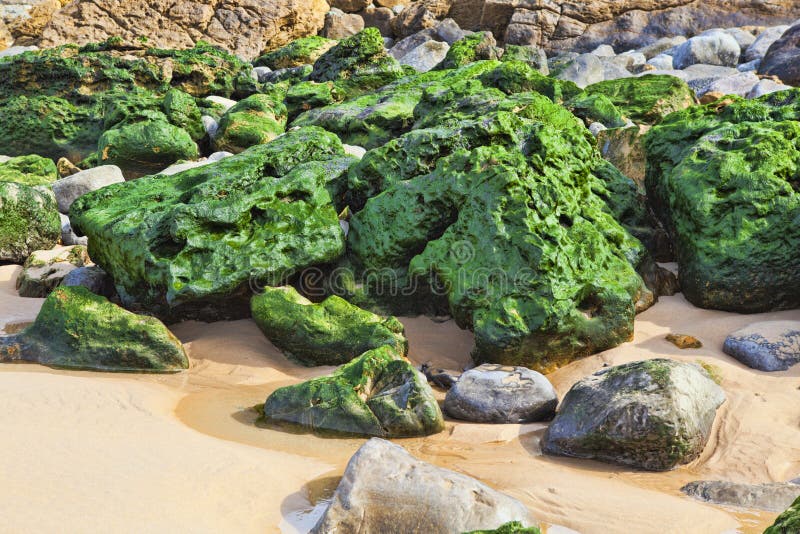Green stones stock photo. Image of colors, beach, shore 89206210