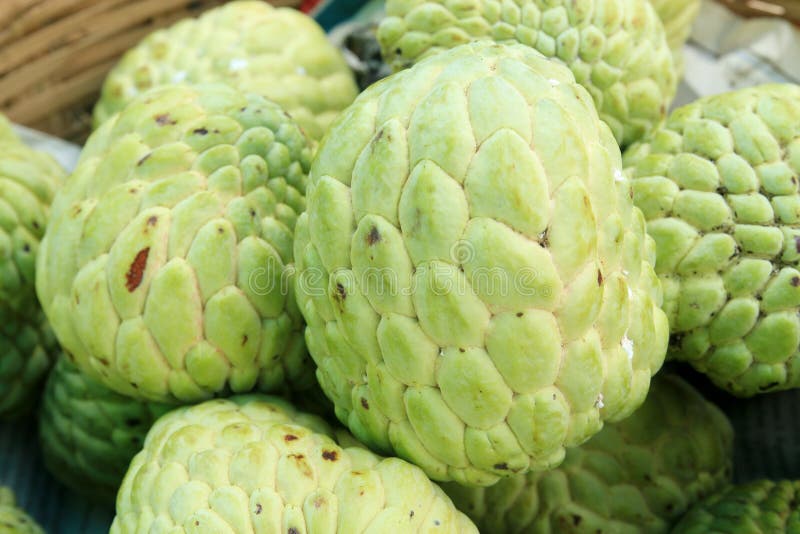 Custard Apple or Atis stock image. Image of garden, sweet 30744813