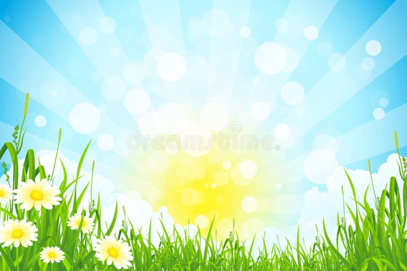 Summer background stock vector. Illustration of flower - 2610298