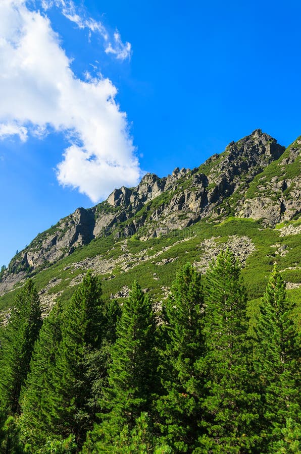 Zelená letná krajina Vysokých Tatier, Slovensko