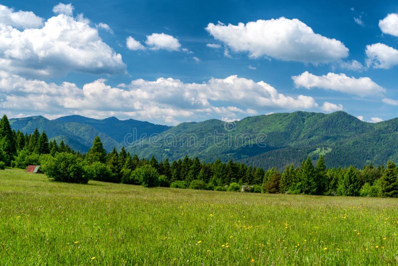 Zelené letní louky a hory na pozadí