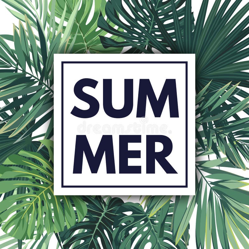 Green Summer Tropical Background with Exotic Palm Leaves and Plants ...