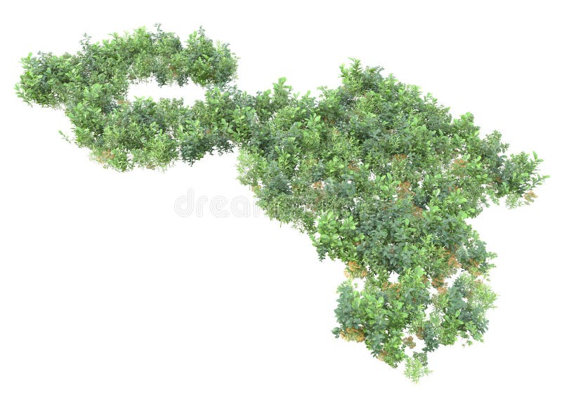 Green surface covered with wild grass and flowers isolated on white and black background for banners. 3d rendering - illustration. Image with no background as additional in PNG format. Green surface covered with wild grass and flowers isolated on white and black background for banners. 3d rendering - illustration. Image with no background as additional in PNG format.