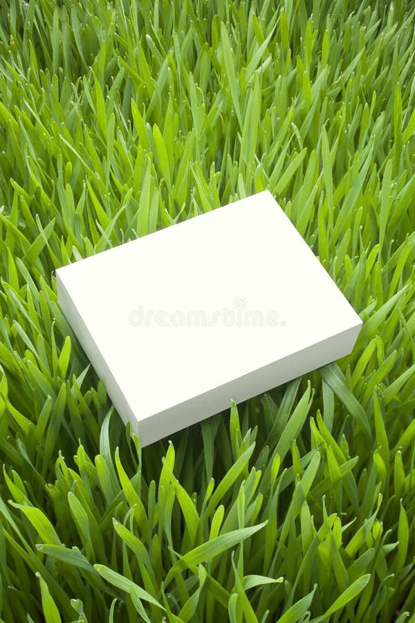 Green Sustainable Product Box