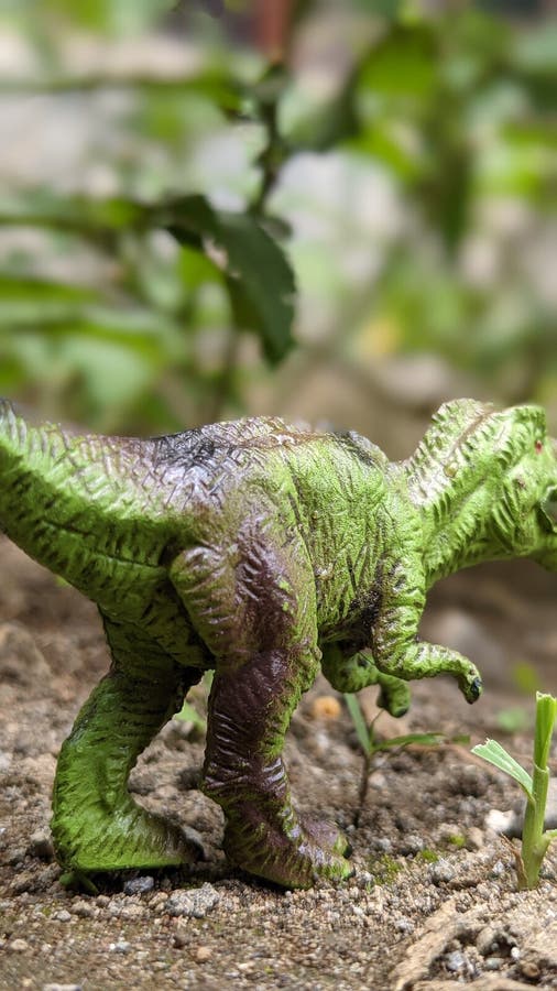 A green trex toys stock image. Image of toys, garden 265881645