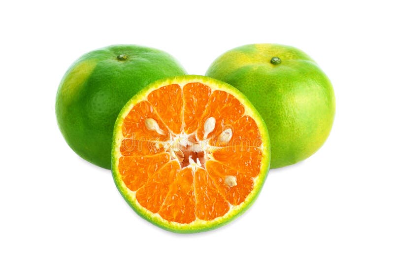 Green Tangerine on White Background. Stock Image Image of sweet