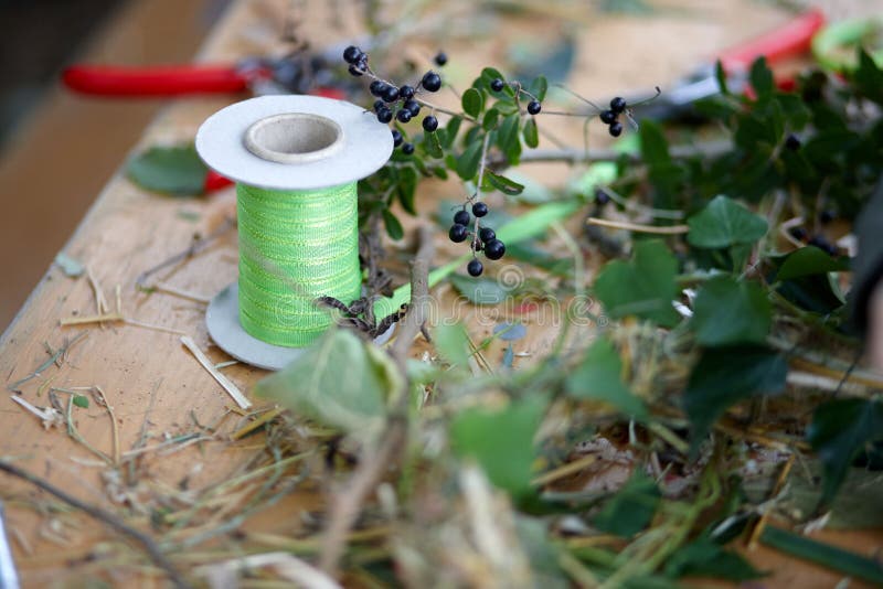 Green Tape Spool on a Table Full of Plants Stock Photo Image of