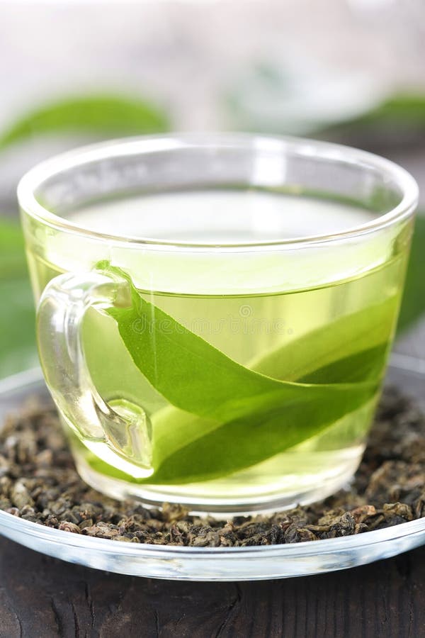Green tea stock photo. Image of herbal, glass, delicate 1509590