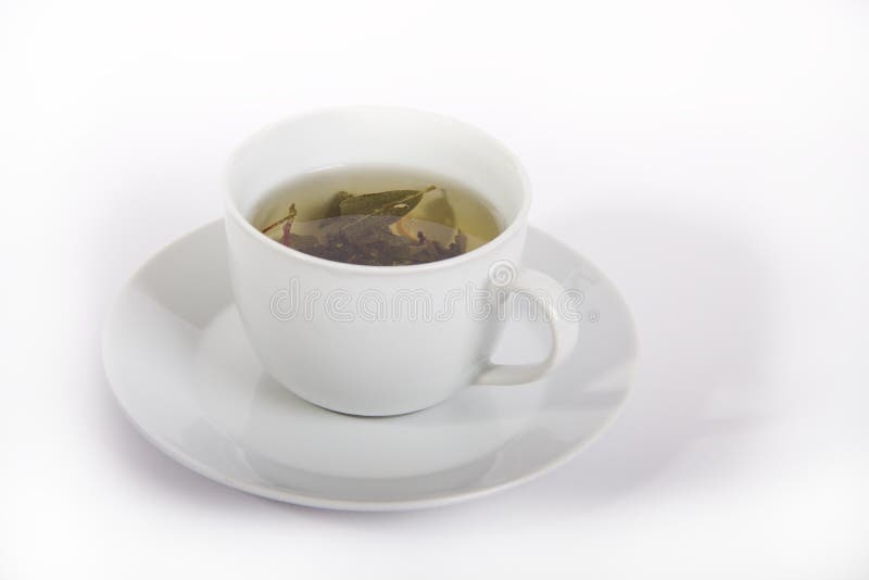 Green tea stock photo. Image of fresh, white, green, drink 19326902