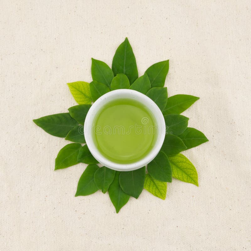 Green tea in cup stock image. Image of leaves, foliage 91252893